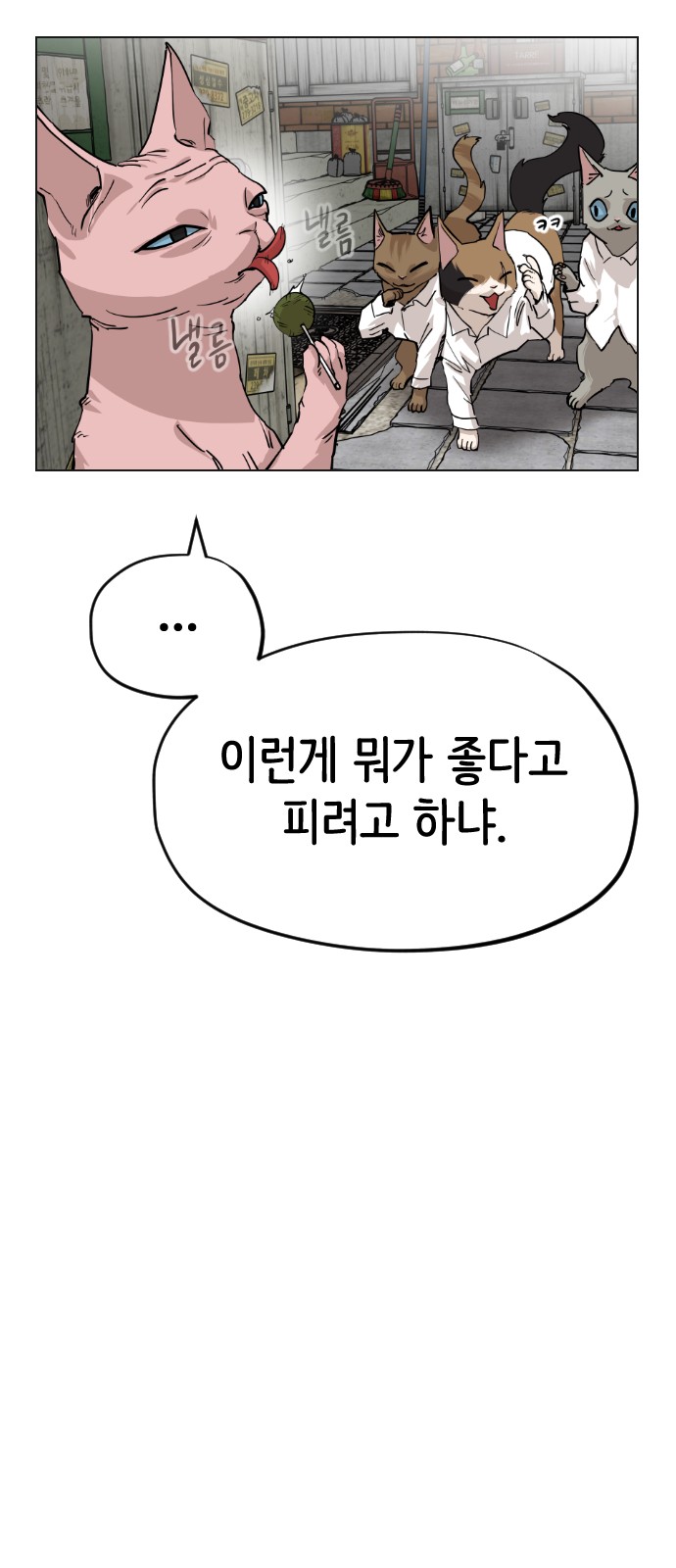 50 페이지
