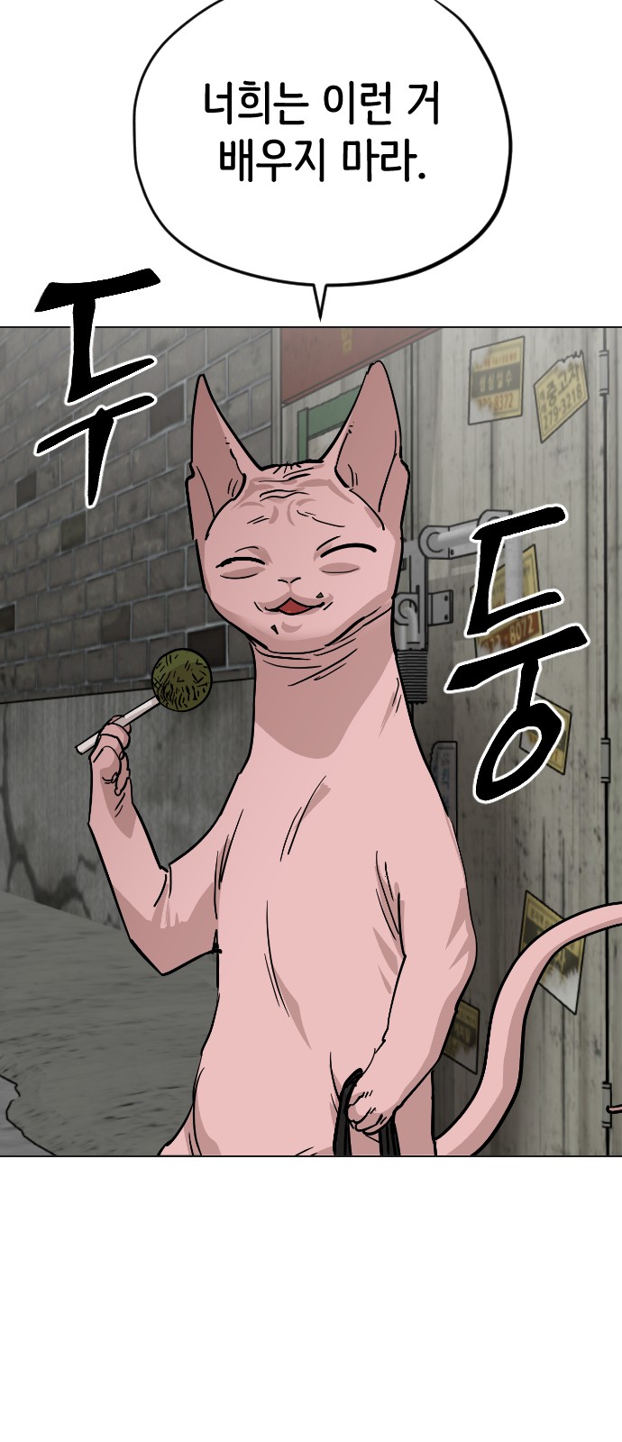 52 페이지