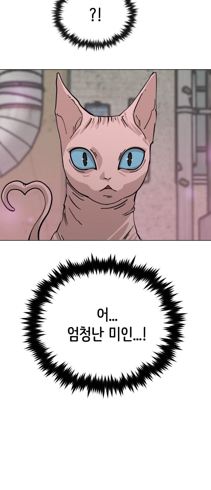 74 페이지