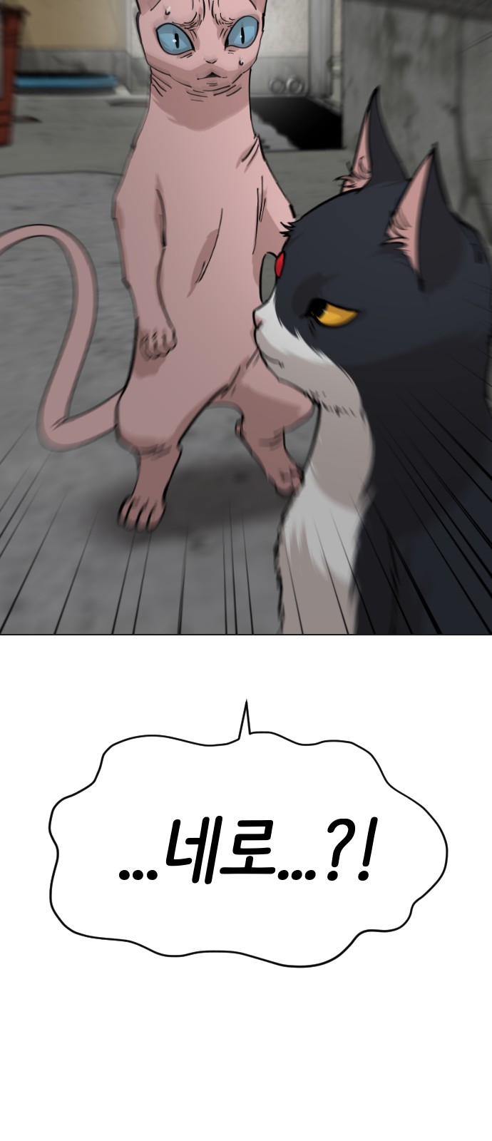 80 페이지