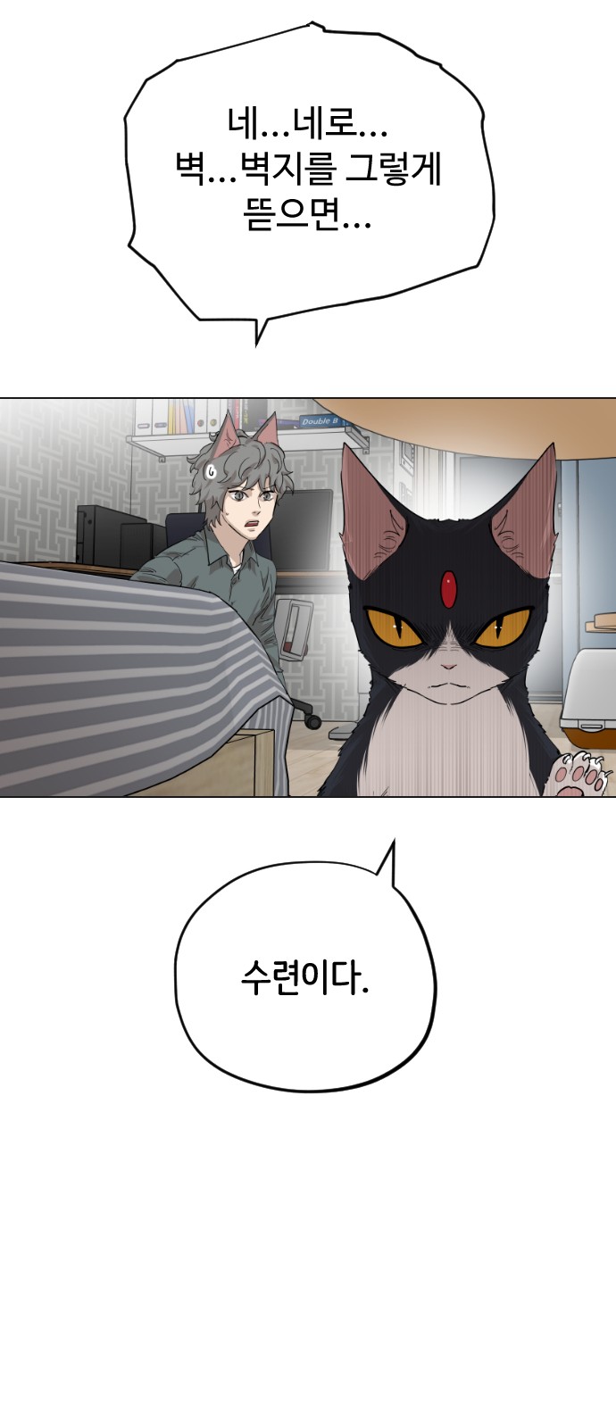 51 페이지