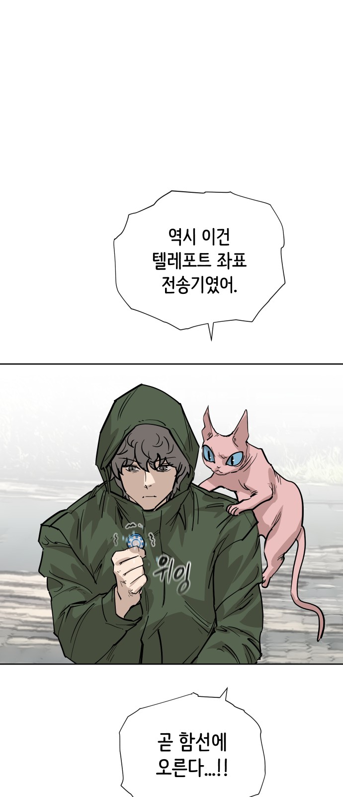 46 페이지
