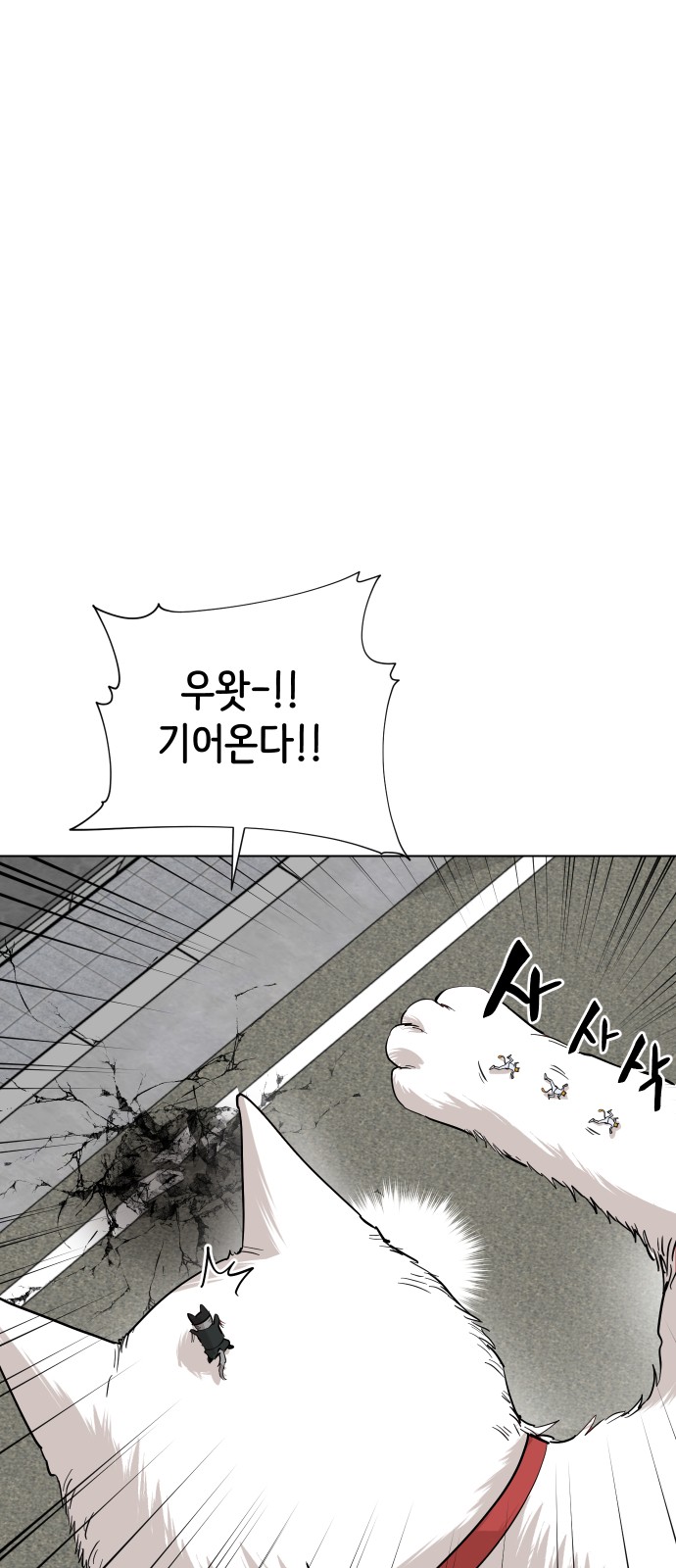 78 페이지
