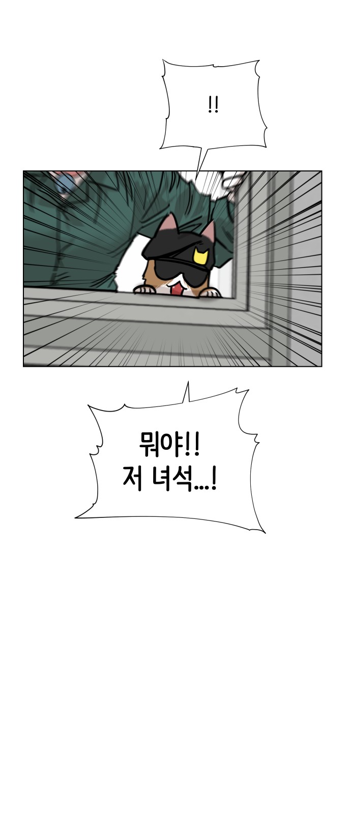 85 페이지