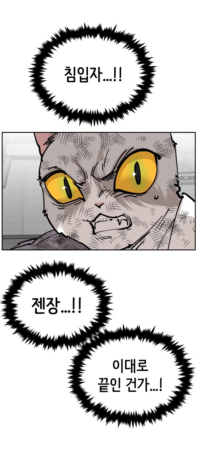 86 페이지