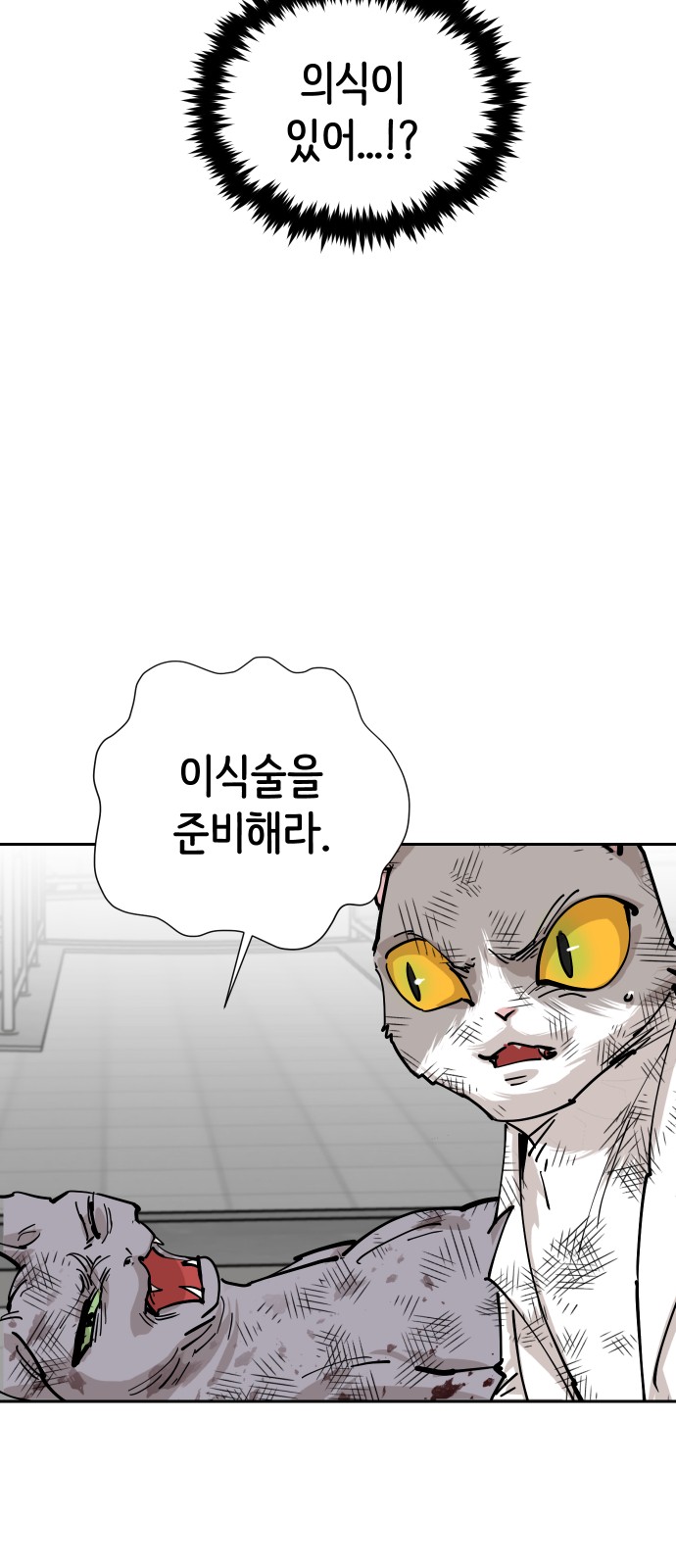 91 페이지