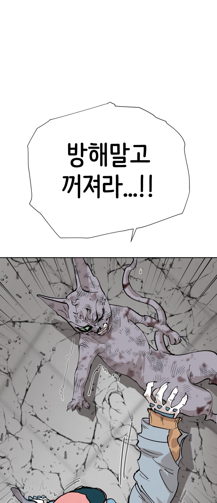34 페이지