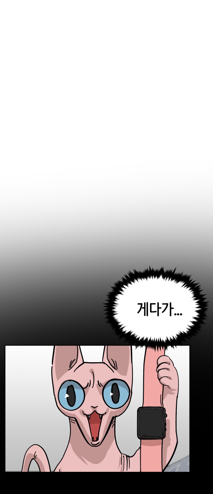 16 페이지