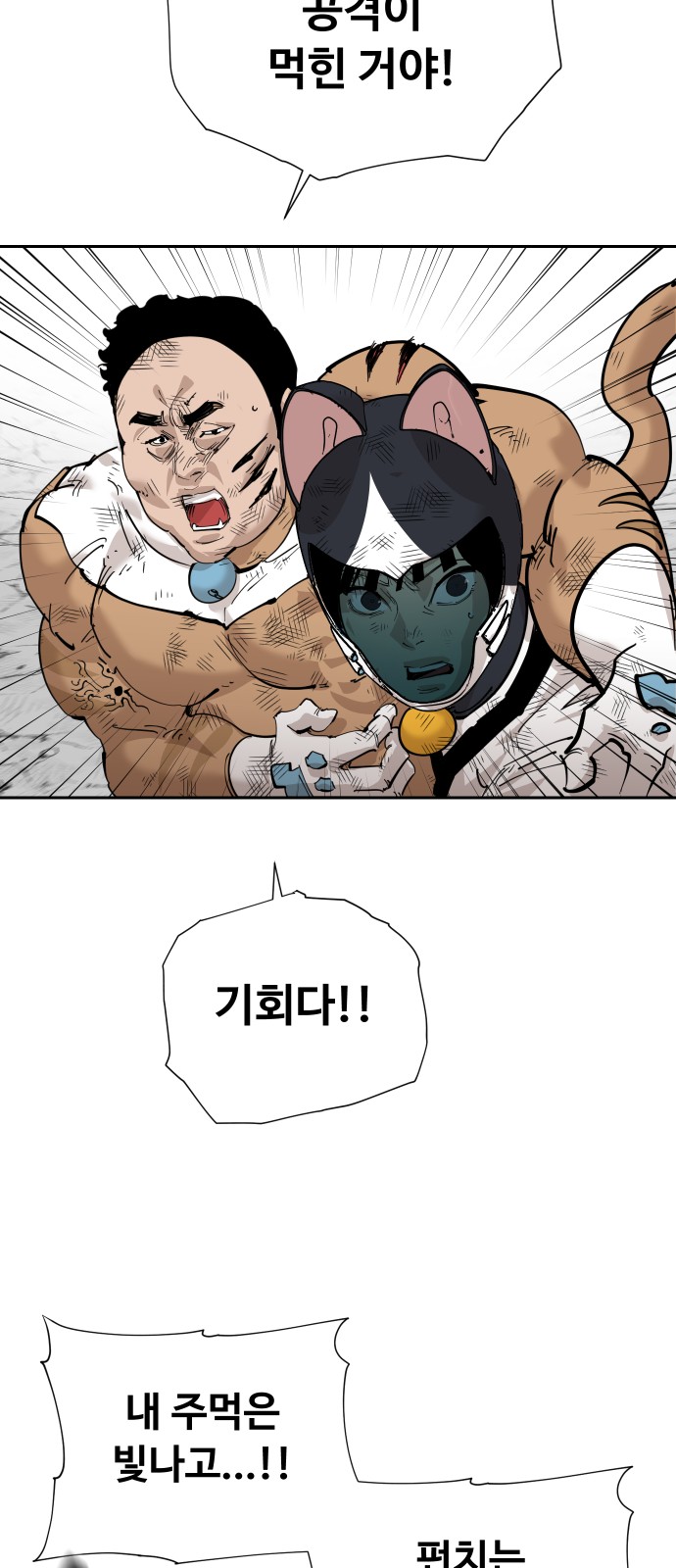 61 페이지