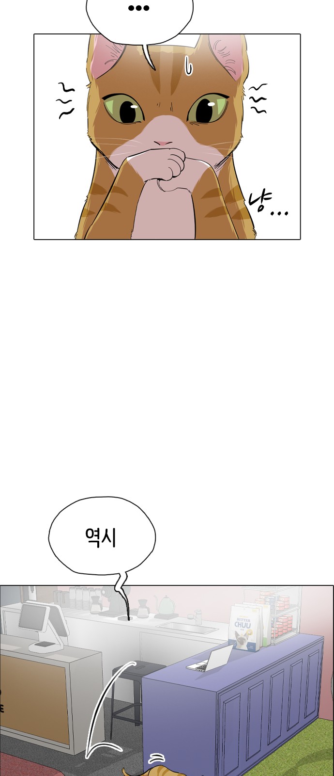 52 페이지