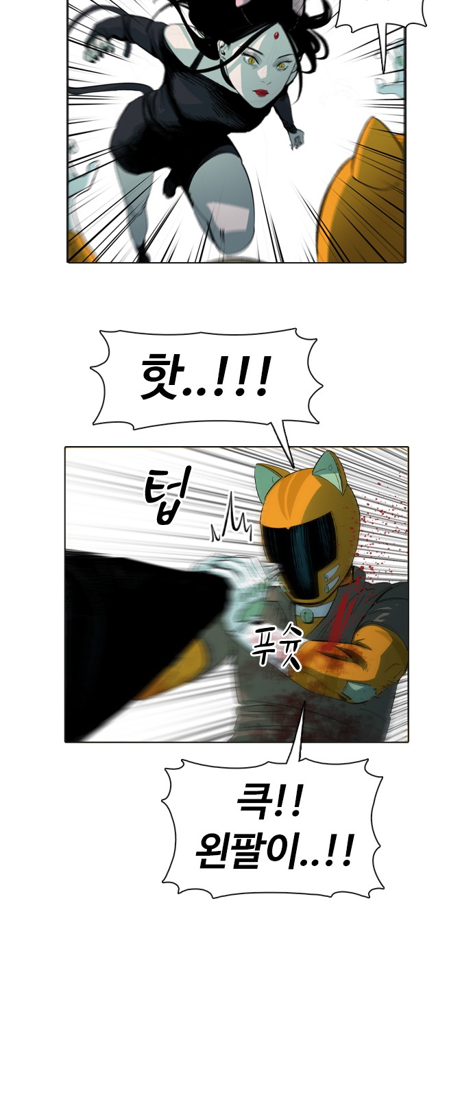 61 페이지