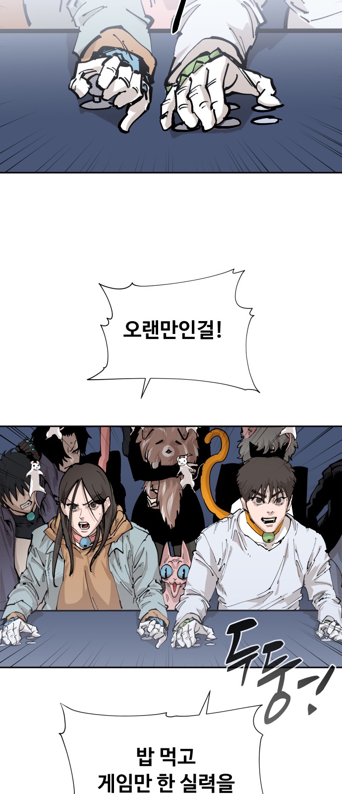50 페이지