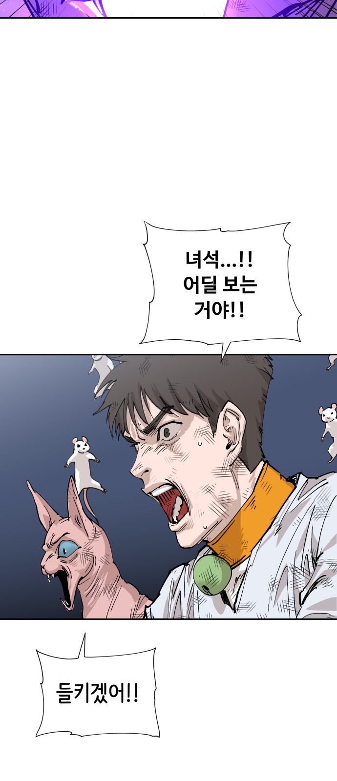 81 페이지