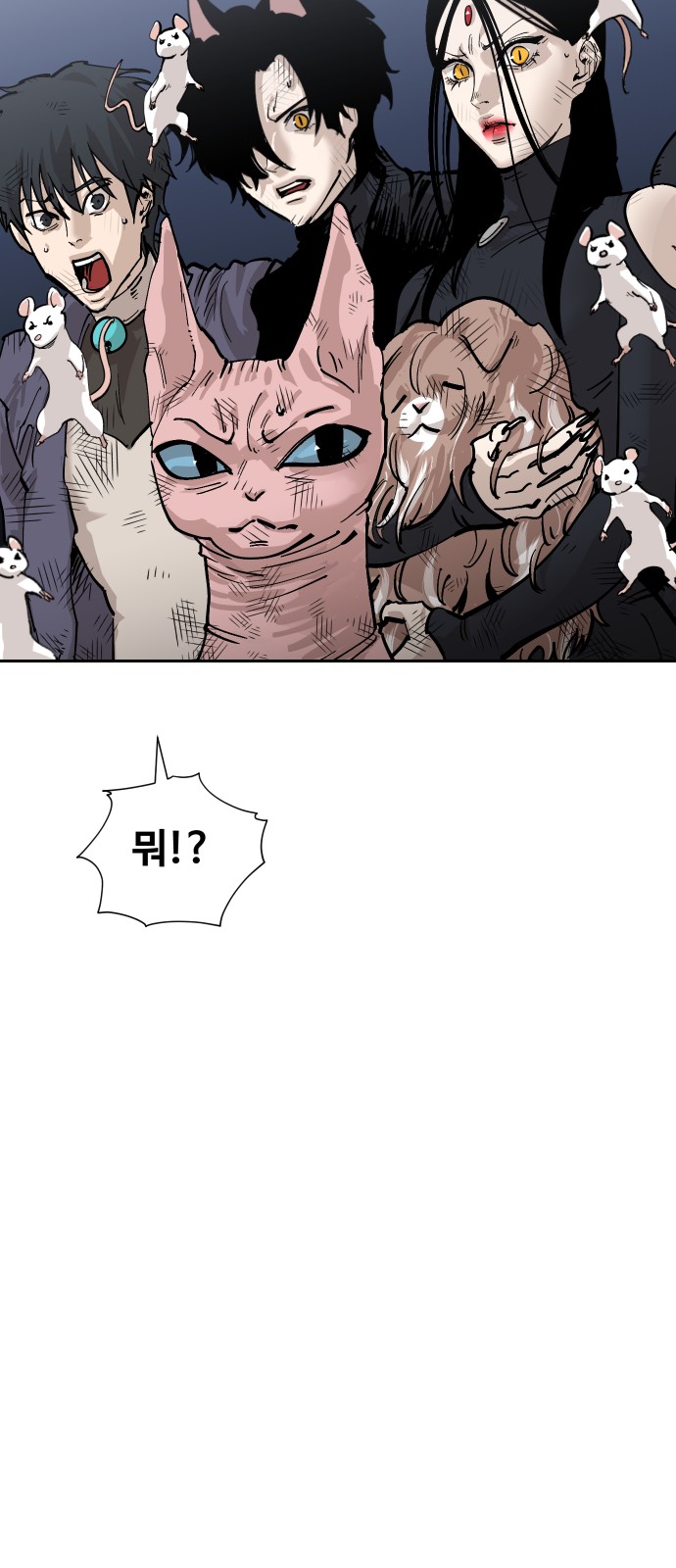 50 페이지