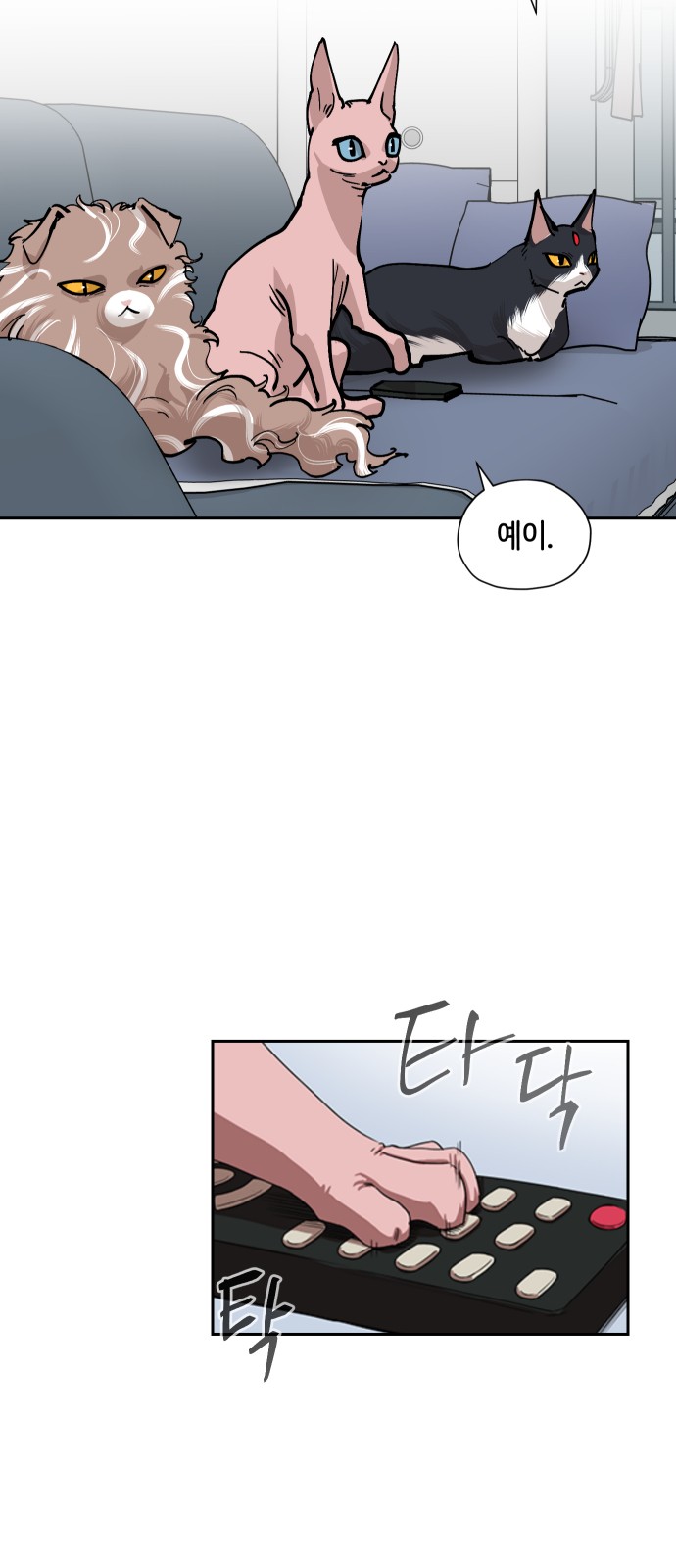 11 페이지