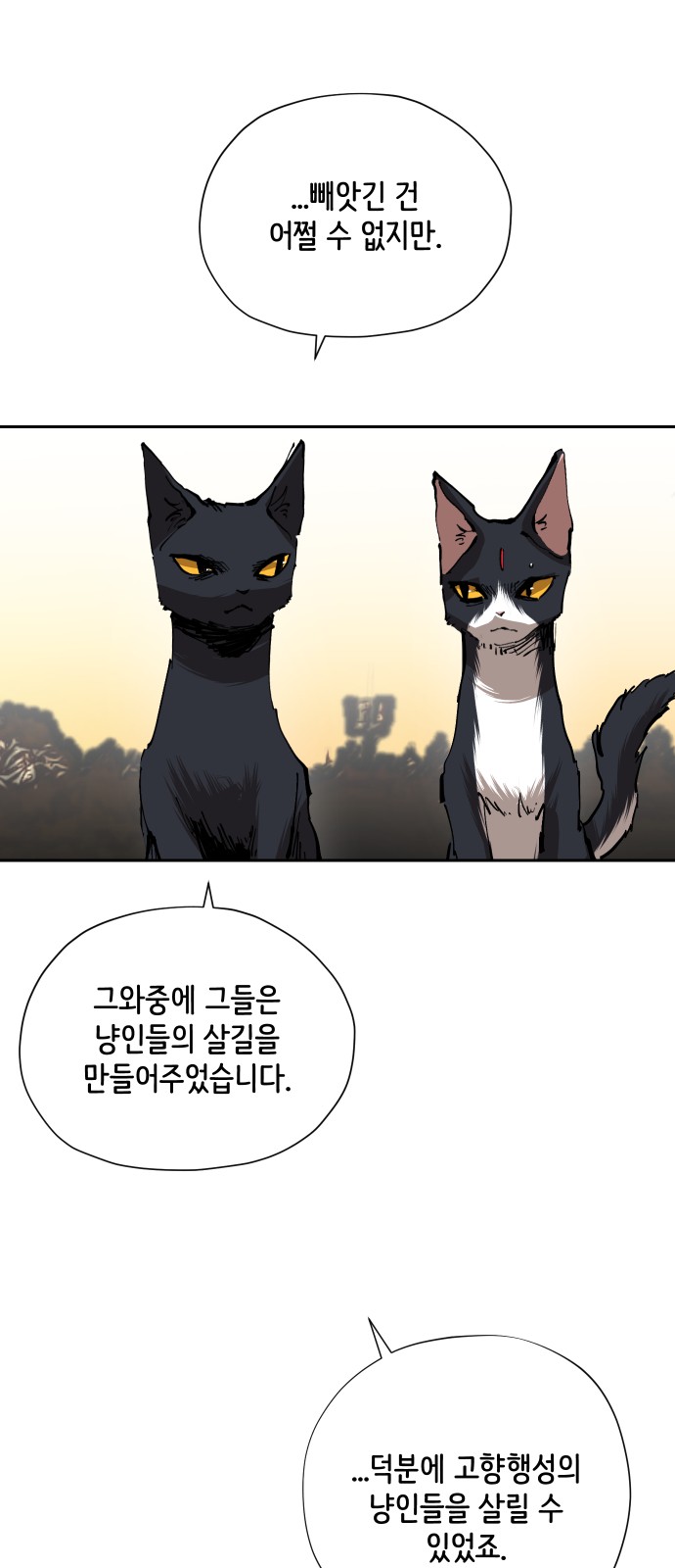106 페이지