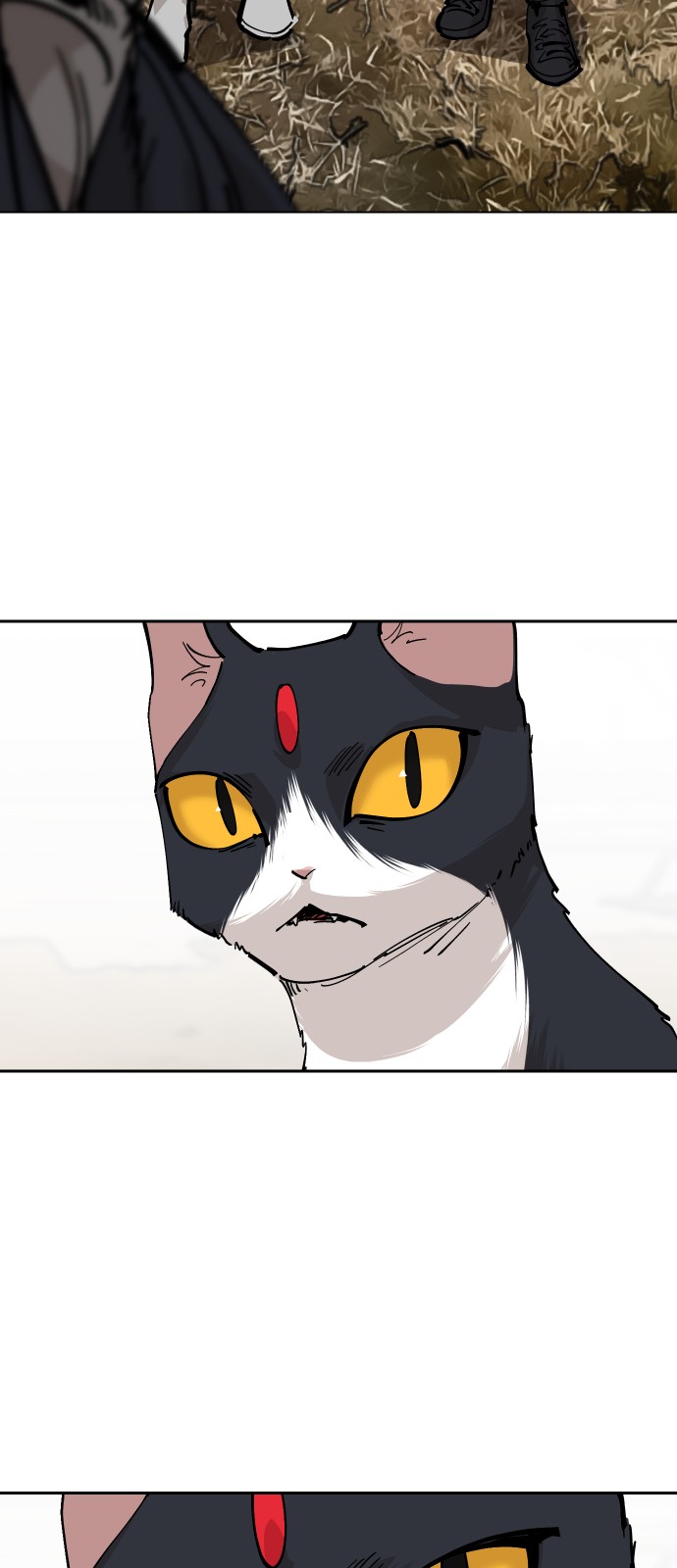 126 페이지