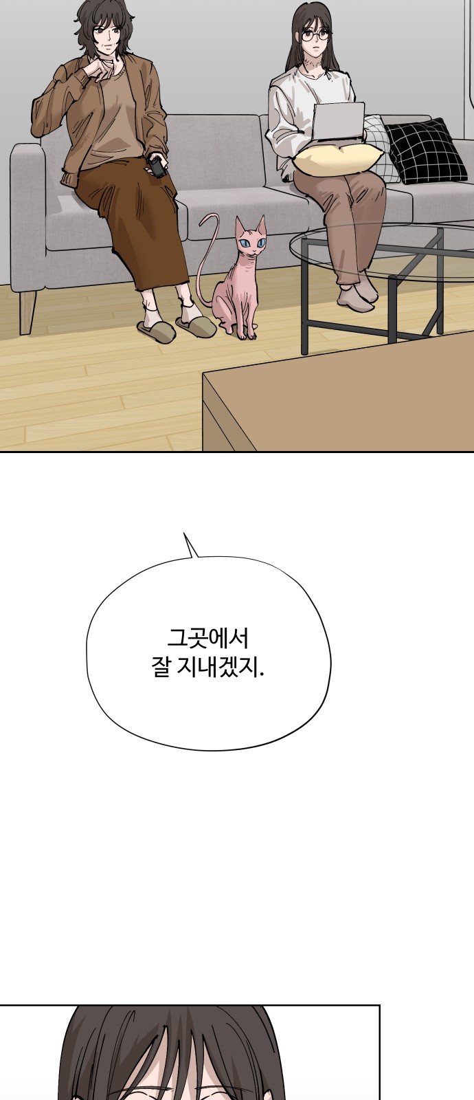 141 페이지