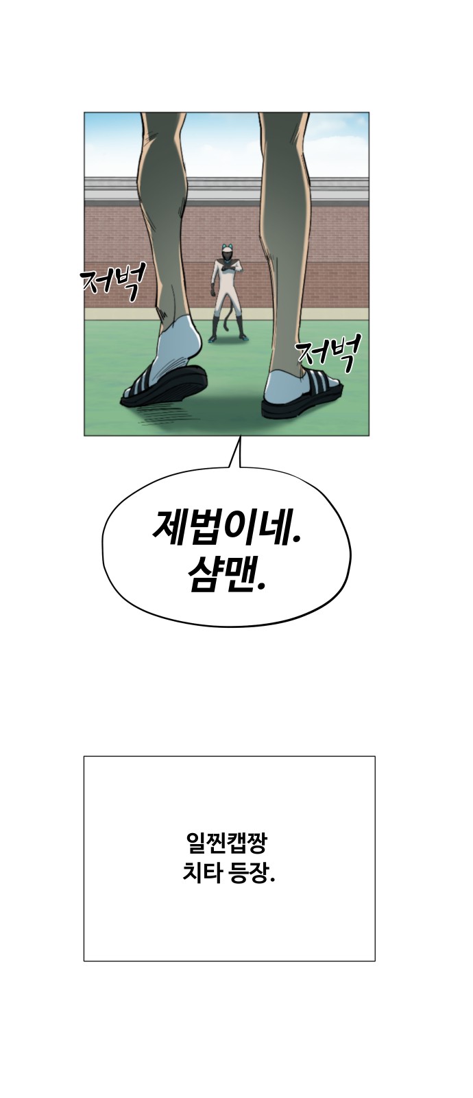 39 페이지