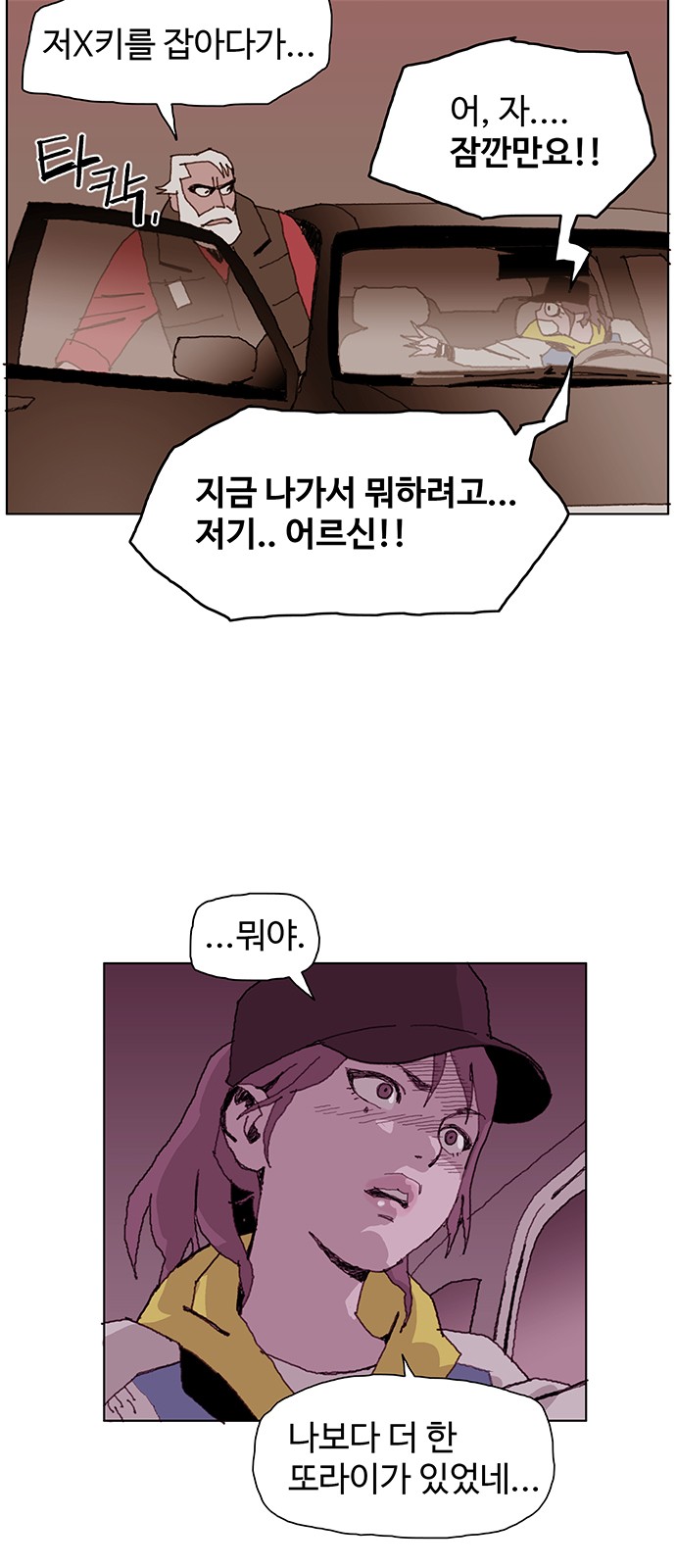 46 페이지
