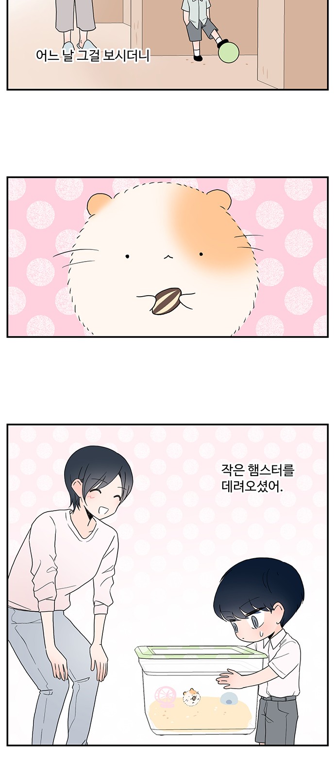 17 페이지