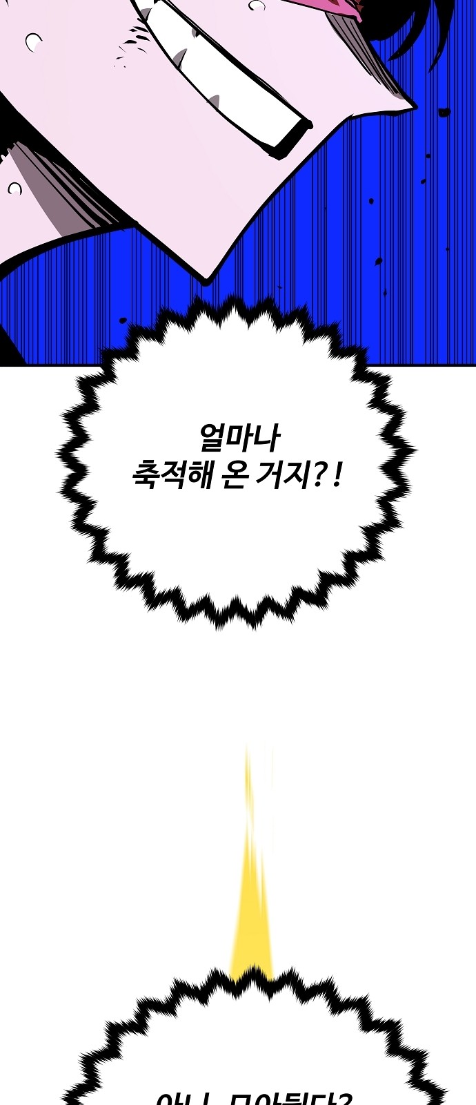 67 페이지