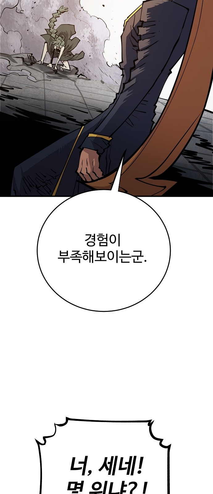 46 페이지