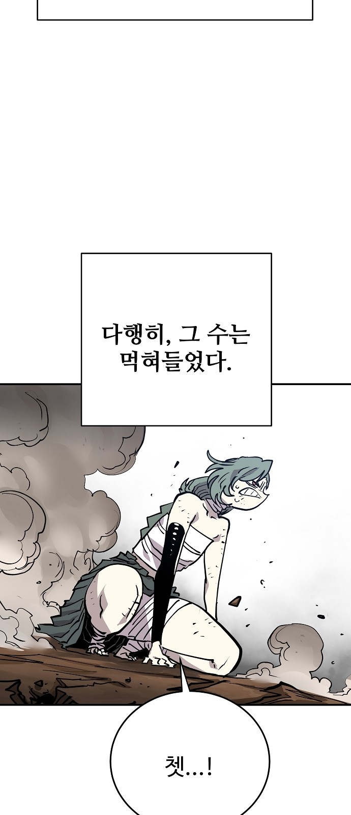 66 페이지