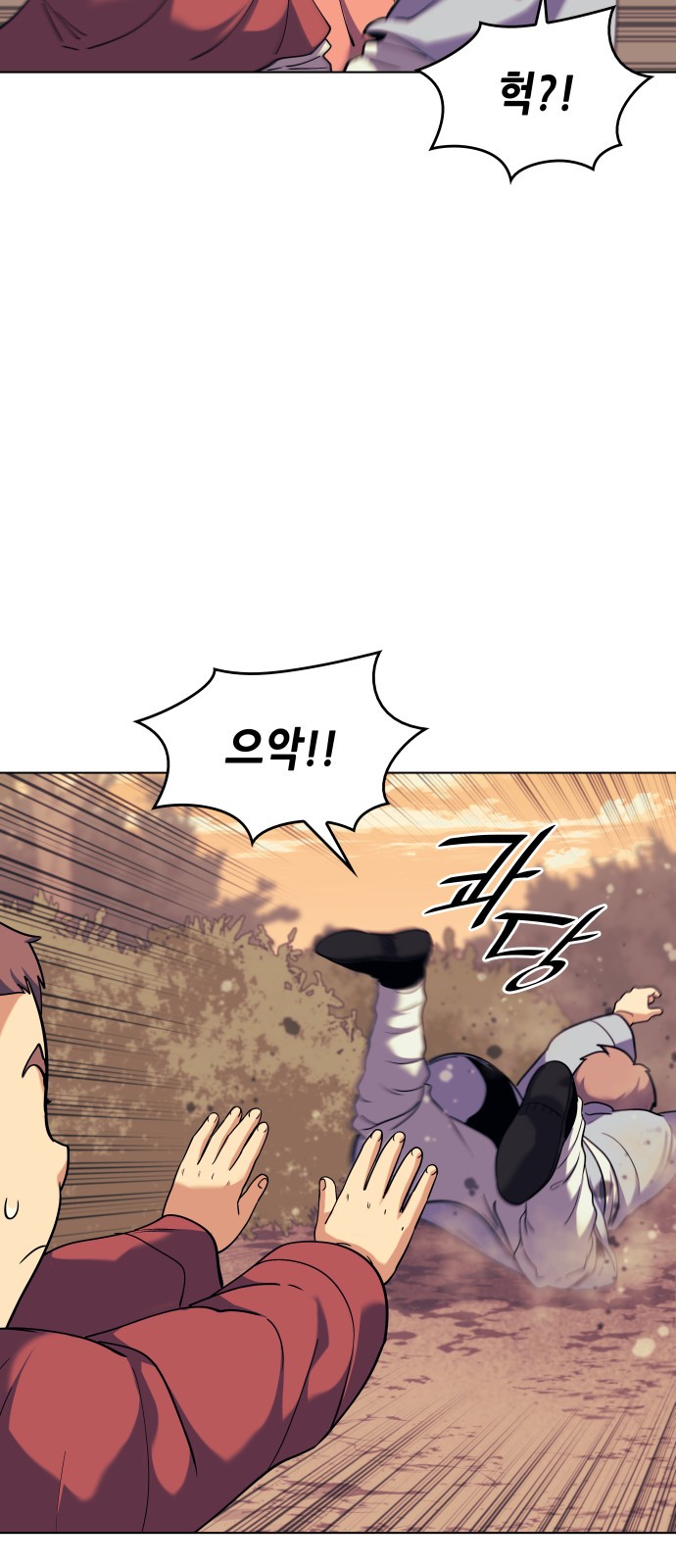 48 페이지