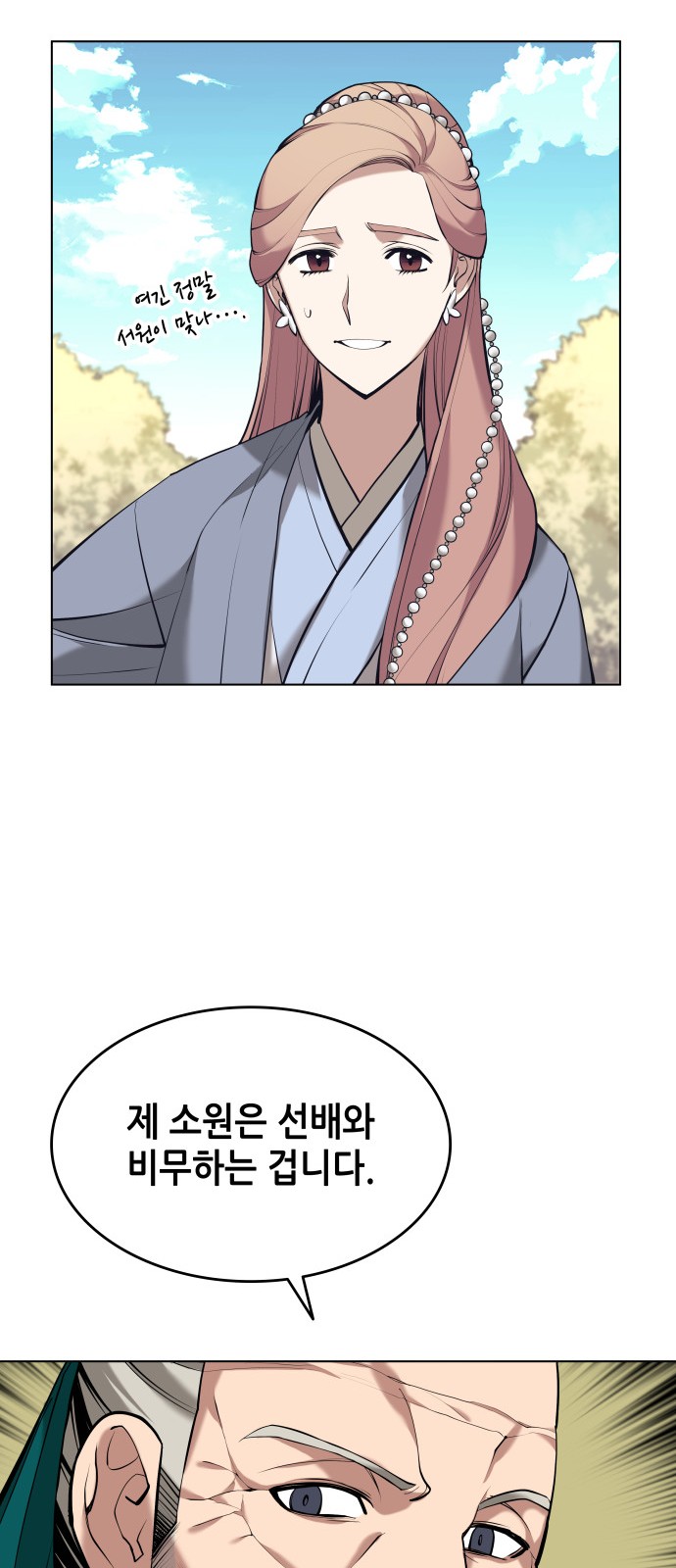 66 페이지