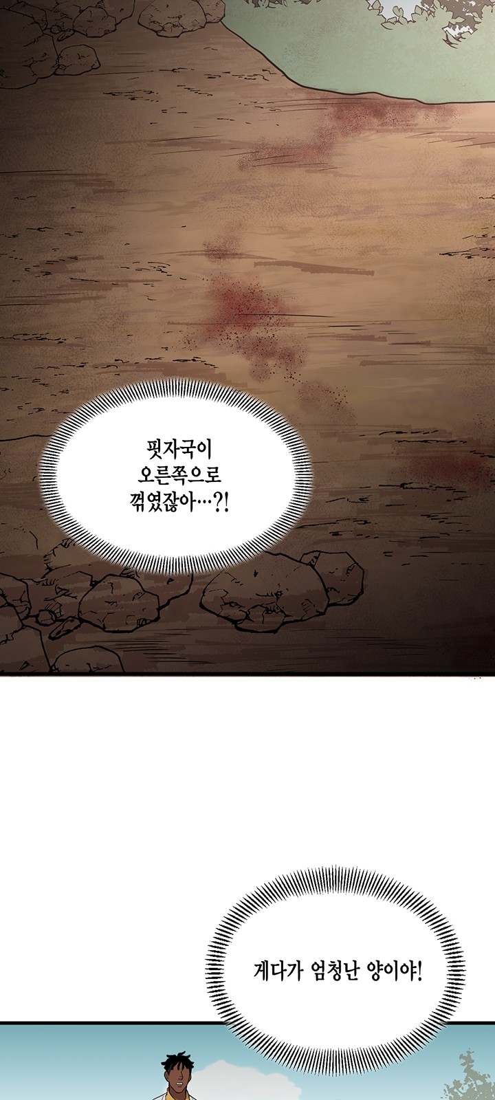 43 페이지