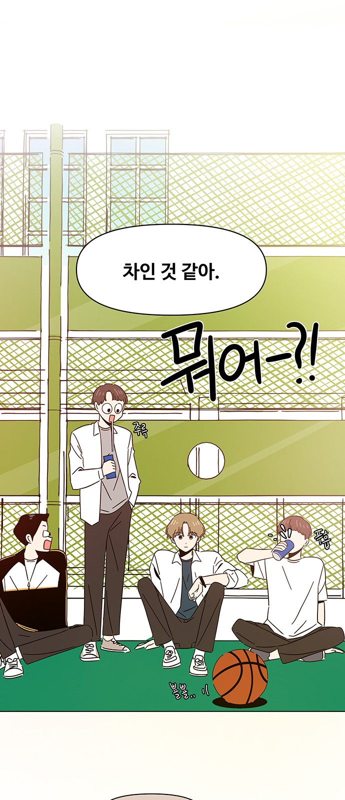 43 페이지