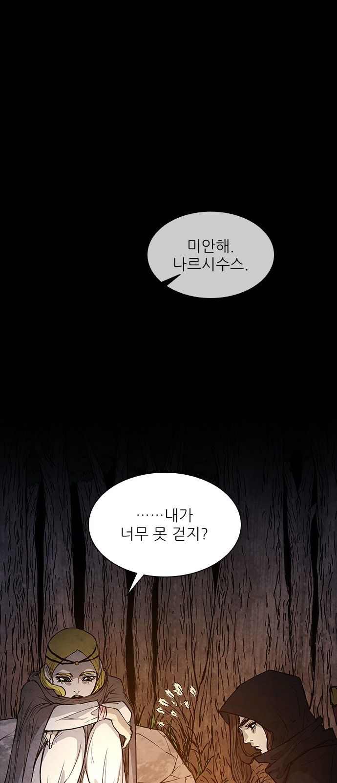 71 페이지