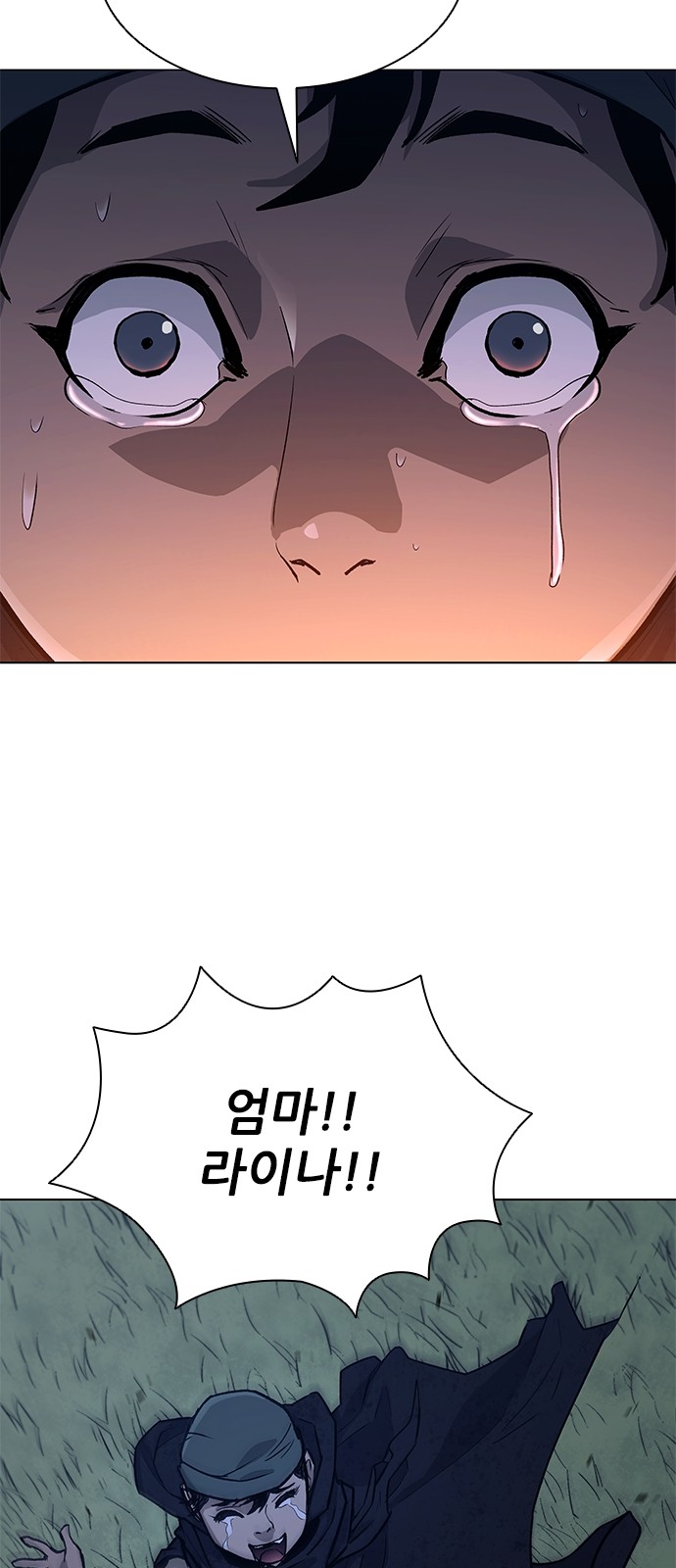 30 페이지