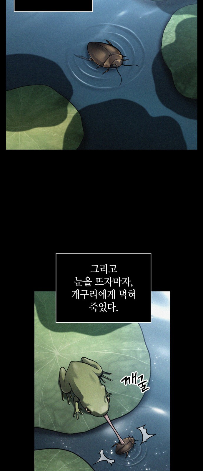 13 페이지