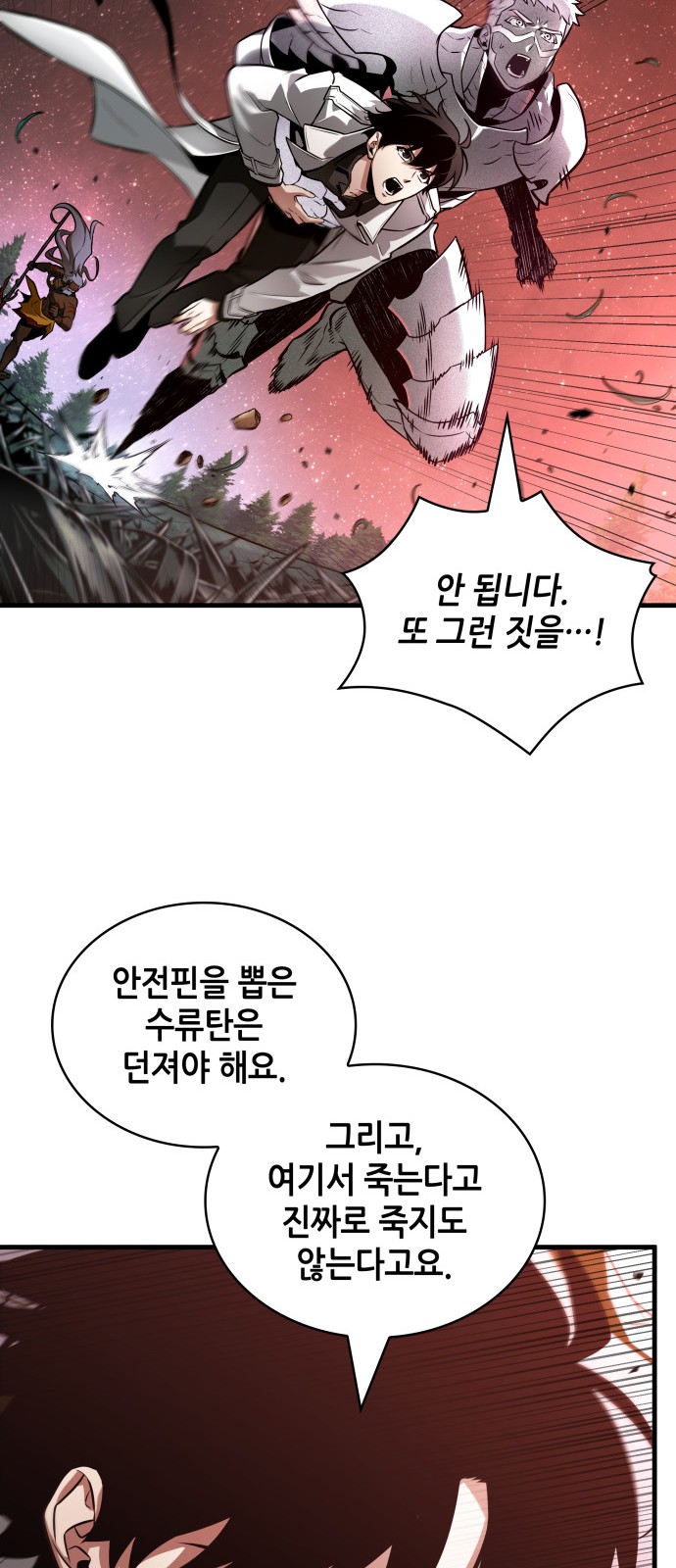 66 페이지