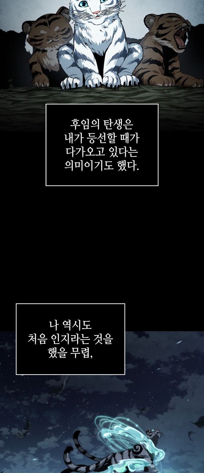 51 페이지