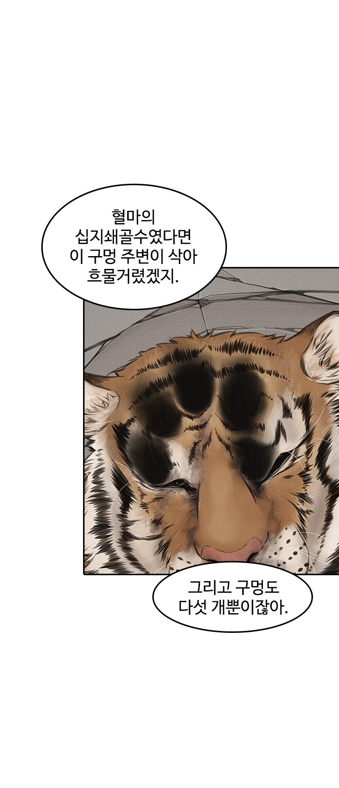 77 페이지