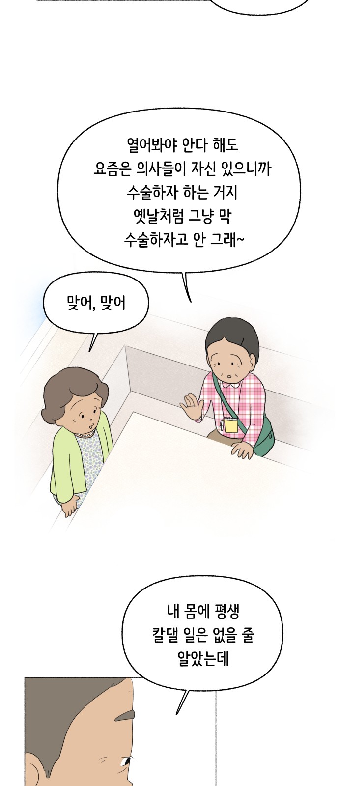 35 페이지