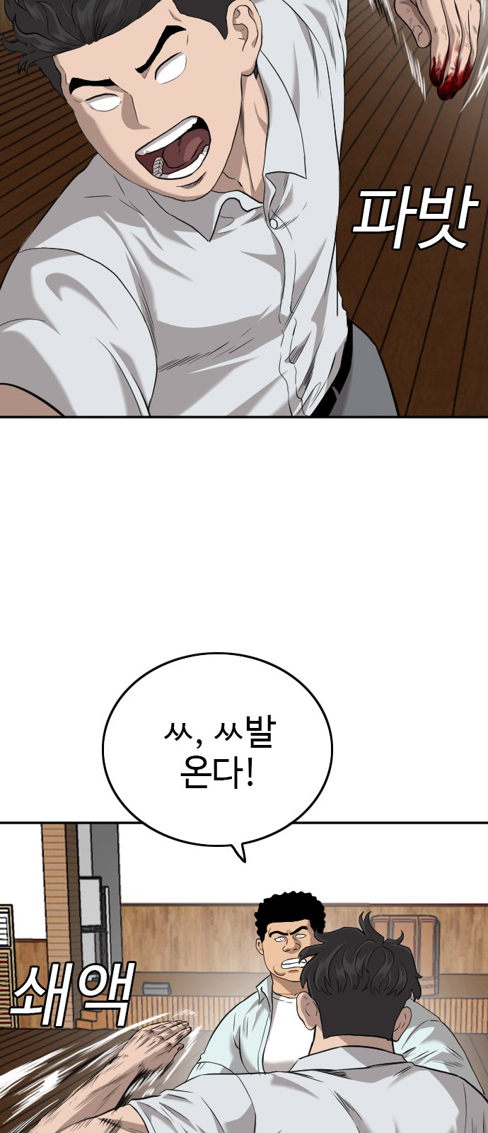 33 페이지