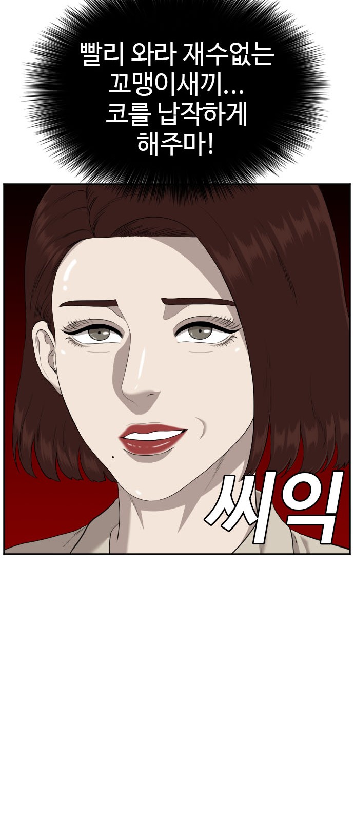 48 페이지