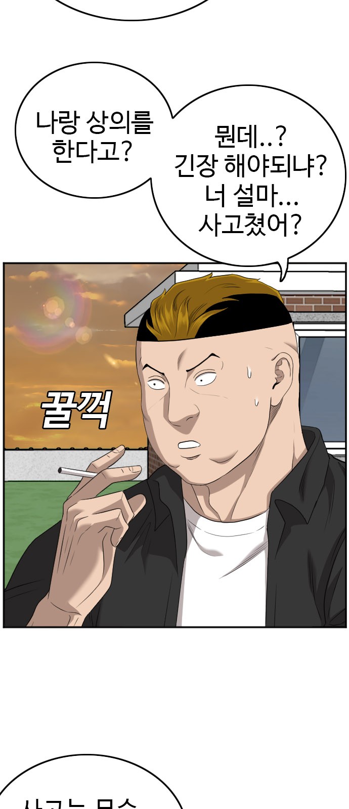 46 페이지