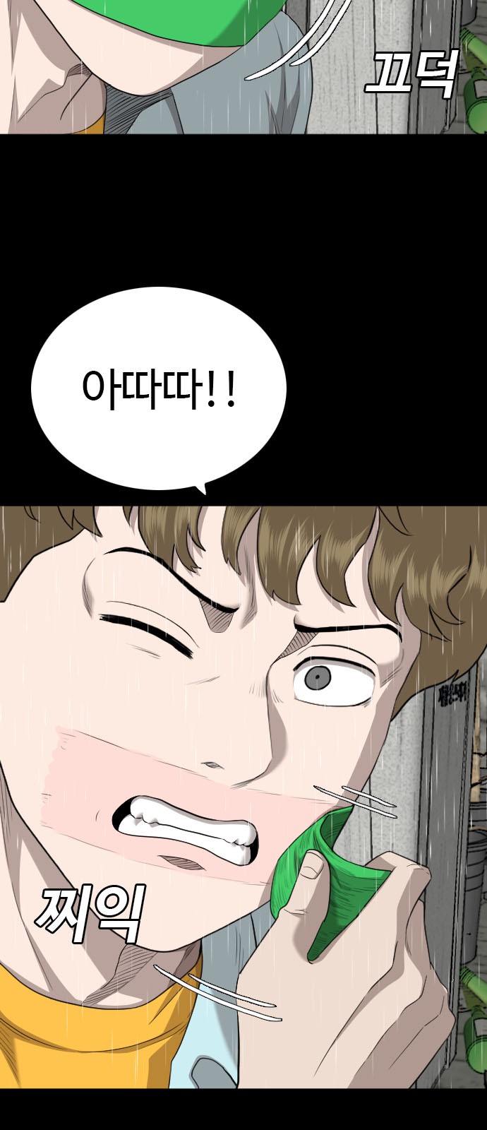 30 페이지