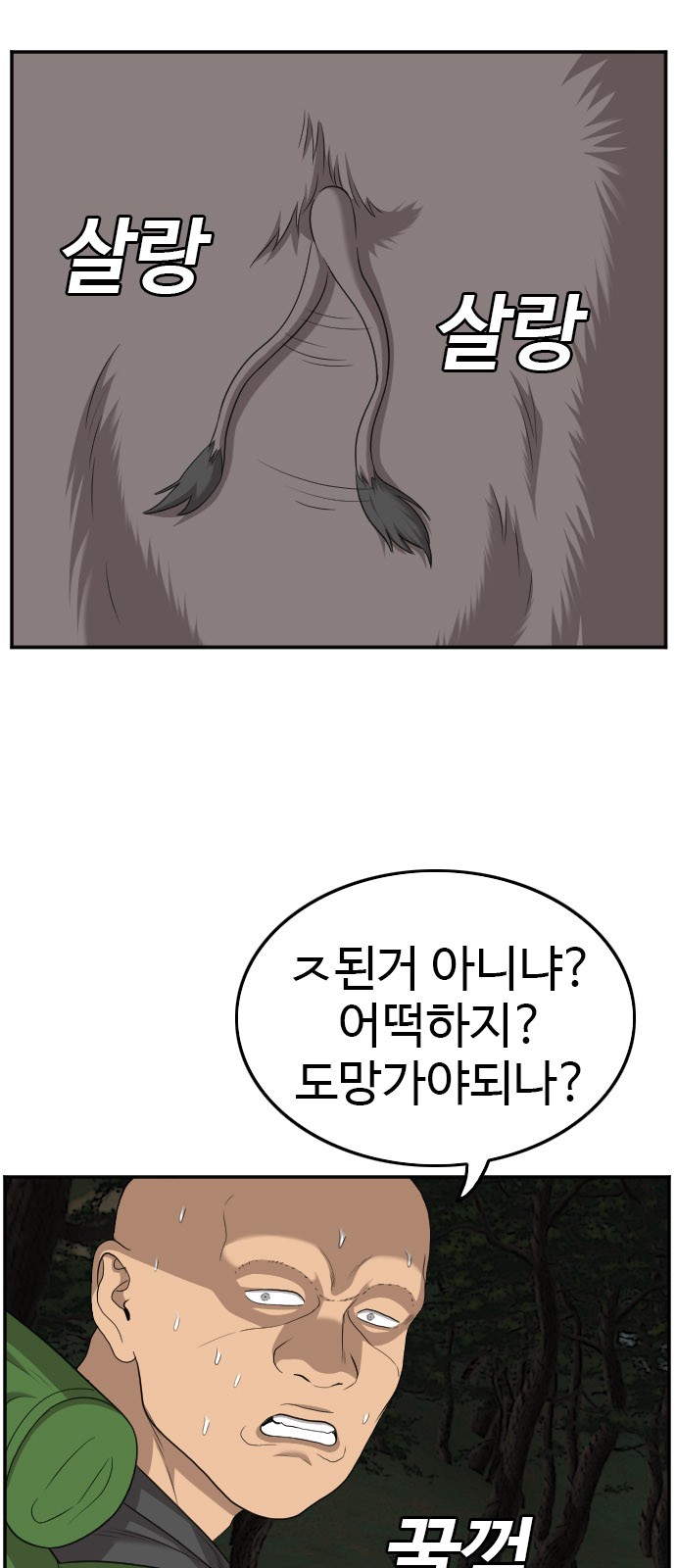 44 페이지