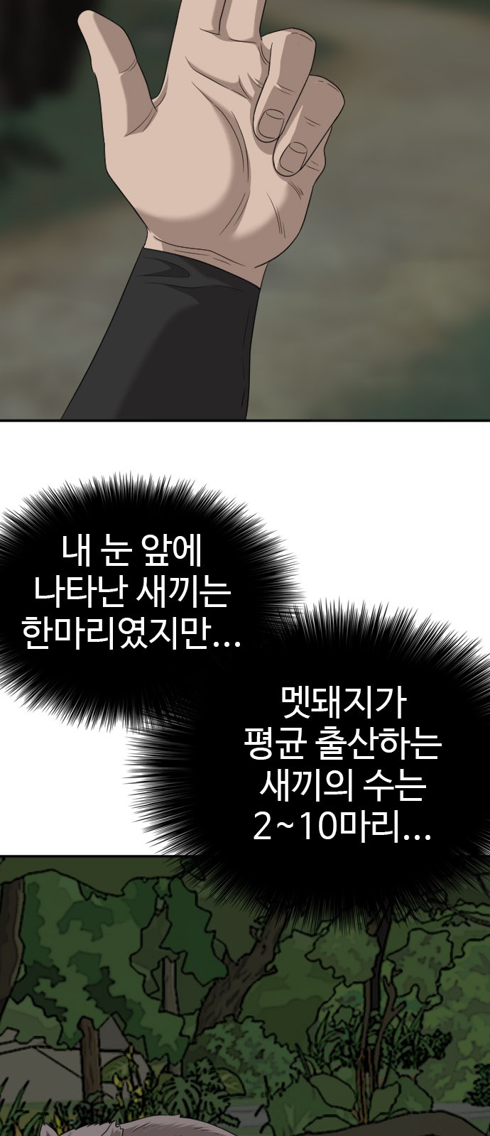 70 페이지
