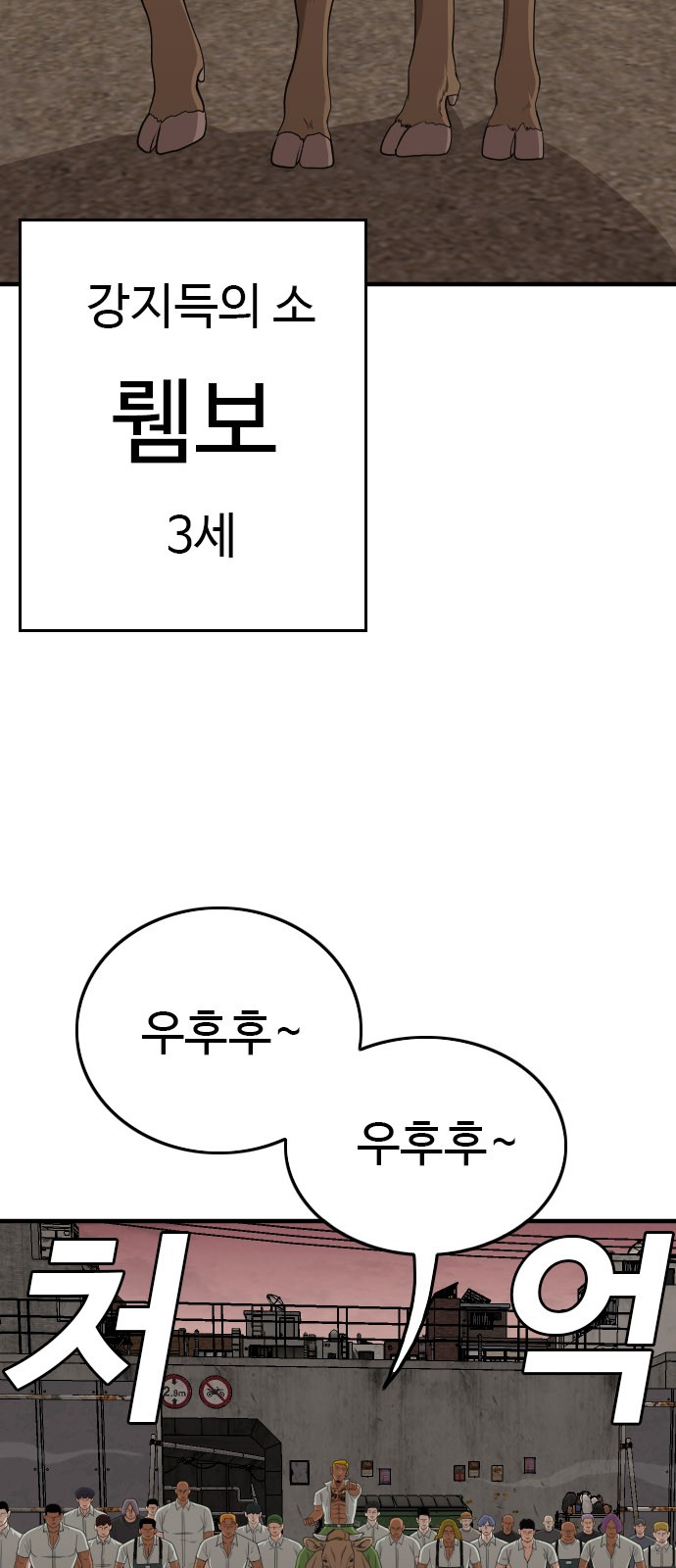 45 페이지