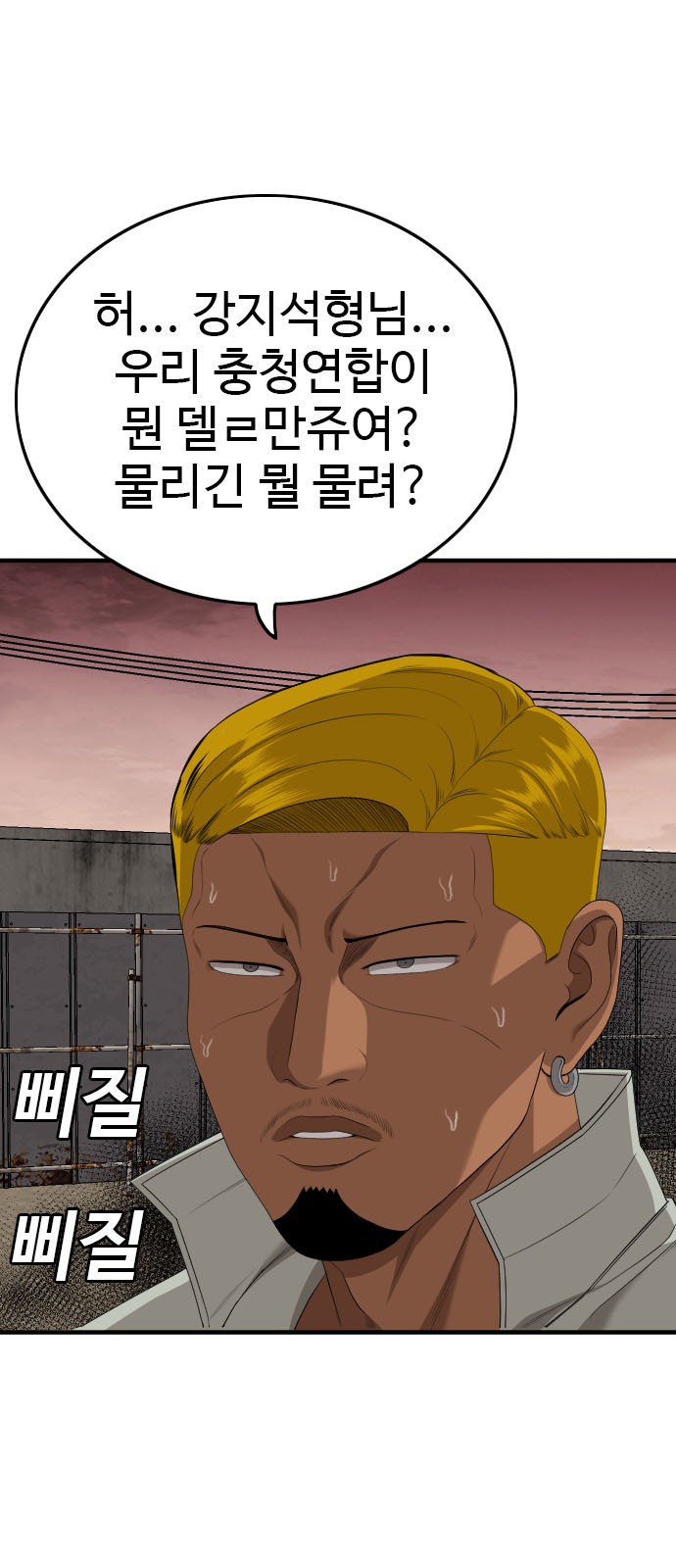 39 페이지