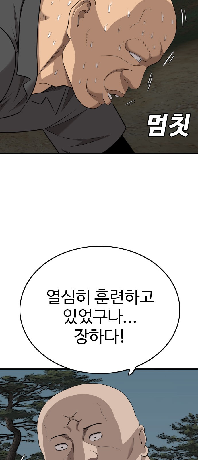 66 페이지