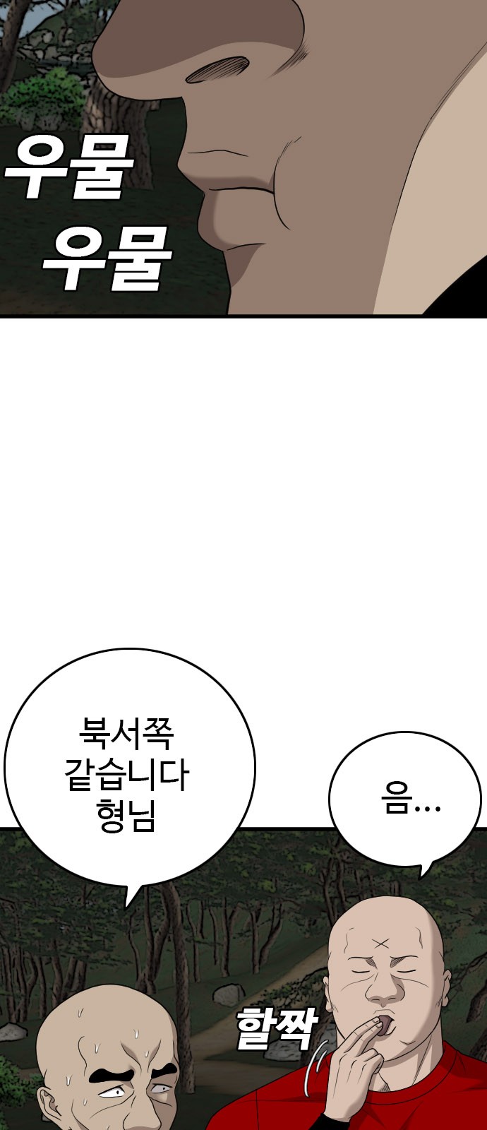 66 페이지