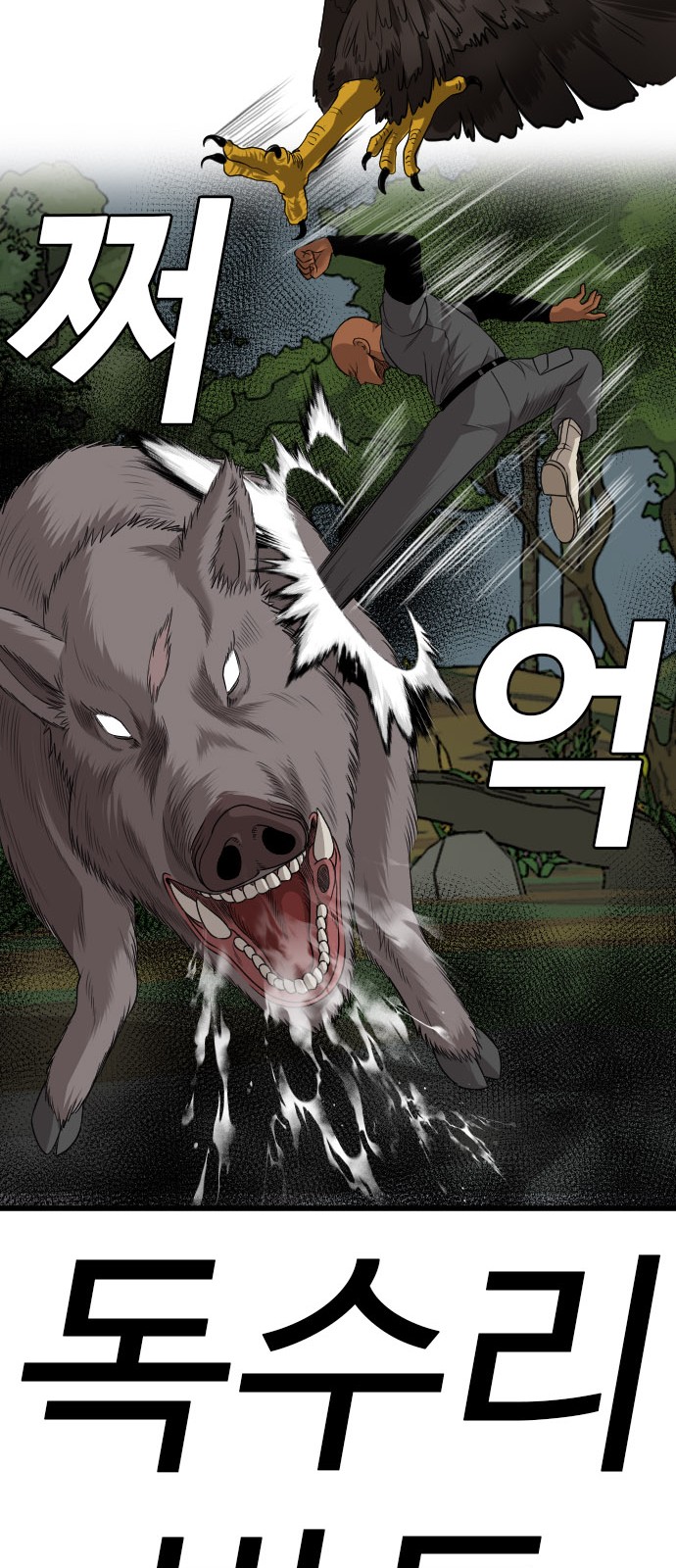 71 페이지